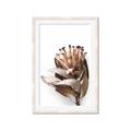 Picture of Dried Flower I  _GroupedProduct_Rectangle_Portrait_Photography _GroupedProduct_Rectangle_Portrait_Framed_Matted_