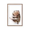 Picture of Dried Flower I  _GroupedProduct_Rectangle_Portrait_Photography _GroupedProduct_Rectangle_Portrait_Framed_Matted_
