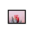 Picture of Mid Bloom _GroupedProduct_Rectangle_Landscape_Photography _GroupedProduct_Rectangle_Landscape_Framed_Matted_