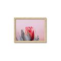 Picture of Mid Bloom _GroupedProduct_Rectangle_Landscape_Photography _GroupedProduct_Rectangle_Landscape_Framed_Matted_