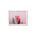 Picture of Mid Bloom _GroupedProduct_Rectangle_Landscape_Photography _GroupedProduct_Rectangle_Landscape_Framed_Matted_