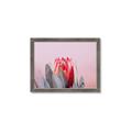 Picture of Mid Bloom _GroupedProduct_Rectangle_Landscape_Photography _GroupedProduct_Rectangle_Landscape_Framed_Matted_