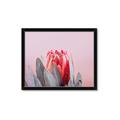 Picture of Mid Bloom _GroupedProduct_Rectangle_Landscape_Photography _GroupedProduct_Rectangle_Landscape_Framed_Matted_
