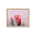Picture of Mid Bloom _GroupedProduct_Rectangle_Landscape_Photography _GroupedProduct_Rectangle_Landscape_Framed_Matted_