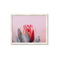Picture of Mid Bloom _GroupedProduct_Rectangle_Landscape_Photography _GroupedProduct_Rectangle_Landscape_Framed_Matted_