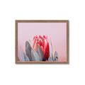 Picture of Mid Bloom _GroupedProduct_Rectangle_Landscape_Photography _GroupedProduct_Rectangle_Landscape_Framed_Matted_