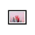 Picture of Mid Bloom _GroupedProduct_Rectangle_Landscape_Photography _GroupedProduct_Rectangle_Landscape_Framed_Matted_