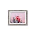 Picture of Mid Bloom _GroupedProduct_Rectangle_Landscape_Photography _GroupedProduct_Rectangle_Landscape_Framed_Matted_