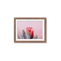 Picture of Mid Bloom _GroupedProduct_Rectangle_Landscape_Photography _GroupedProduct_Rectangle_Landscape_Framed_Matted_
