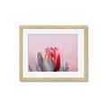 Picture of Mid Bloom _GroupedProduct_Rectangle_Landscape_Photography _GroupedProduct_Rectangle_Landscape_Framed_Matted_