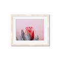 Picture of Mid Bloom _GroupedProduct_Rectangle_Landscape_Photography _GroupedProduct_Rectangle_Landscape_Framed_Matted_