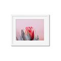 Picture of Mid Bloom _GroupedProduct_Rectangle_Landscape_Photography _GroupedProduct_Rectangle_Landscape_Framed_Matted_