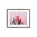 Picture of Mid Bloom _GroupedProduct_Rectangle_Landscape_Photography _GroupedProduct_Rectangle_Landscape_Framed_Matted_