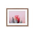Picture of Mid Bloom _GroupedProduct_Rectangle_Landscape_Photography _GroupedProduct_Rectangle_Landscape_Framed_Matted_