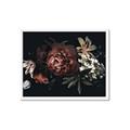 Picture of Romantic Bloom _GroupedProduct_Rectangle_Landscape_Photography _GroupedProduct_Rectangle_Landscape_Framed_Matted_