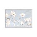 Picture of Spring Delight _GroupedProduct_Rectangle_Landscape_Framed_Matted_