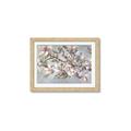 Picture of Pink Mangnolias Branch II _GroupedProduct_Rectangle_Landscape_Framed_Matted_