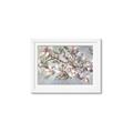 Picture of Pink Mangnolias Branch II _GroupedProduct_Rectangle_Landscape_Framed_Matted_