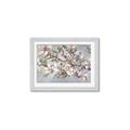 Picture of Pink Mangnolias Branch II _GroupedProduct_Rectangle_Landscape_Framed_Matted_
