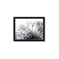 Picture of Dandilion bliss _GroupedProduct_Rectangle_Landscape_Photography _GroupedProduct_Rectangle_Landscape_Framed_Matted_
