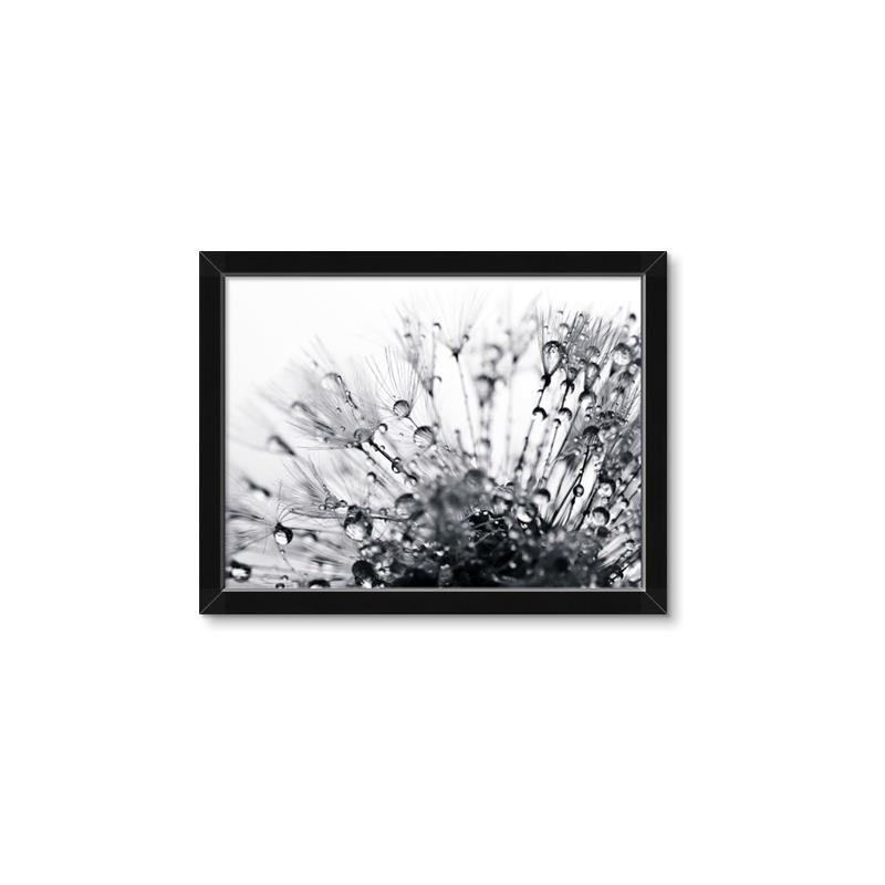 Picture of Dandilion bliss _GroupedProduct_Rectangle_Landscape_Photography _GroupedProduct_Rectangle_Landscape_Framed_Matted_