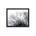 Picture of Dandilion bliss _GroupedProduct_Rectangle_Landscape_Photography _GroupedProduct_Rectangle_Landscape_Framed_Matted_