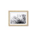 Picture of Dandilion bliss _GroupedProduct_Rectangle_Landscape_Photography _GroupedProduct_Rectangle_Landscape_Framed_Matted_