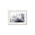 Picture of Dandilion bliss _GroupedProduct_Rectangle_Landscape_Photography _GroupedProduct_Rectangle_Landscape_Framed_Matted_