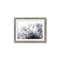 Picture of Dandilion bliss _GroupedProduct_Rectangle_Landscape_Photography _GroupedProduct_Rectangle_Landscape_Framed_Matted_