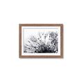 Picture of Dandilion bliss _GroupedProduct_Rectangle_Landscape_Photography _GroupedProduct_Rectangle_Landscape_Framed_Matted_