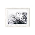 Picture of Dandilion bliss _GroupedProduct_Rectangle_Landscape_Photography _GroupedProduct_Rectangle_Landscape_Framed_Matted_