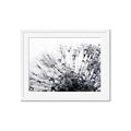 Picture of Dandilion bliss _GroupedProduct_Rectangle_Landscape_Photography _GroupedProduct_Rectangle_Landscape_Framed_Matted_