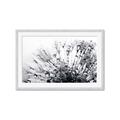 Picture of Dandilion bliss _GroupedProduct_Rectangle_Landscape_Photography _GroupedProduct_Rectangle_Landscape_Framed_Matted_