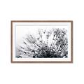 Picture of Dandilion bliss _GroupedProduct_Rectangle_Landscape_Photography _GroupedProduct_Rectangle_Landscape_Framed_Matted_