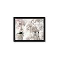Picture of Fluffy Florals _GroupedProduct_Rectangle_Landscape_Photography _GroupedProduct_Rectangle_Landscape_Framed_Matted_