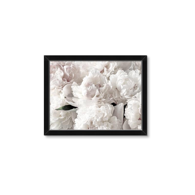 Picture of Fluffy Florals _GroupedProduct_Rectangle_Landscape_Photography _GroupedProduct_Rectangle_Landscape_Framed_Matted_
