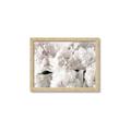 Picture of Fluffy Florals _GroupedProduct_Rectangle_Landscape_Photography _GroupedProduct_Rectangle_Landscape_Framed_Matted_