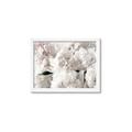 Picture of Fluffy Florals _GroupedProduct_Rectangle_Landscape_Photography _GroupedProduct_Rectangle_Landscape_Framed_Matted_