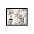 Picture of Fluffy Florals _GroupedProduct_Rectangle_Landscape_Photography _GroupedProduct_Rectangle_Landscape_Framed_Matted_