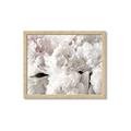 Picture of Fluffy Florals _GroupedProduct_Rectangle_Landscape_Photography _GroupedProduct_Rectangle_Landscape_Framed_Matted_