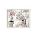 Picture of Fluffy Florals _GroupedProduct_Rectangle_Landscape_Photography _GroupedProduct_Rectangle_Landscape_Framed_Matted_