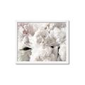 Picture of Fluffy Florals _GroupedProduct_Rectangle_Landscape_Photography _GroupedProduct_Rectangle_Landscape_Framed_Matted_