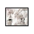 Picture of Fluffy Florals _GroupedProduct_Rectangle_Landscape_Photography _GroupedProduct_Rectangle_Landscape_Framed_Matted_