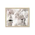 Picture of Fluffy Florals _GroupedProduct_Rectangle_Landscape_Photography _GroupedProduct_Rectangle_Landscape_Framed_Matted_