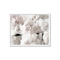 Picture of Fluffy Florals _GroupedProduct_Rectangle_Landscape_Photography _GroupedProduct_Rectangle_Landscape_Framed_Matted_