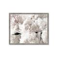 Picture of Fluffy Florals _GroupedProduct_Rectangle_Landscape_Photography _GroupedProduct_Rectangle_Landscape_Framed_Matted_