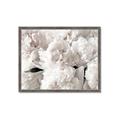 Picture of Fluffy Florals _GroupedProduct_Rectangle_Landscape_Photography _GroupedProduct_Rectangle_Landscape_Framed_Matted_