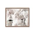 Picture of Fluffy Florals _GroupedProduct_Rectangle_Landscape_Photography _GroupedProduct_Rectangle_Landscape_Framed_Matted_