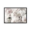 Picture of Fluffy Florals _GroupedProduct_Rectangle_Landscape_Photography _GroupedProduct_Rectangle_Landscape_Framed_Matted_