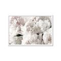 Picture of Fluffy Florals _GroupedProduct_Rectangle_Landscape_Photography _GroupedProduct_Rectangle_Landscape_Framed_Matted_